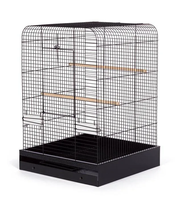 Parakeet, Cockatiel, Conure Bird Cage - Madison Bird Cage - 20" L x 20" W x 29" H - Prevue Hendryx