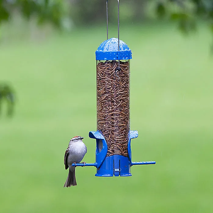 Perky-Pet® 388 Dried Mealworm Wild Bird Feeder, 2-Port, 3.5 Oz Capacity