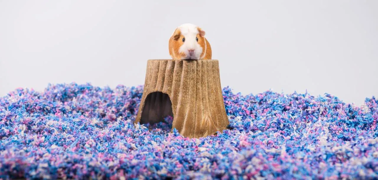 Pets Pick 36L Confetti Uber Pet Bedding