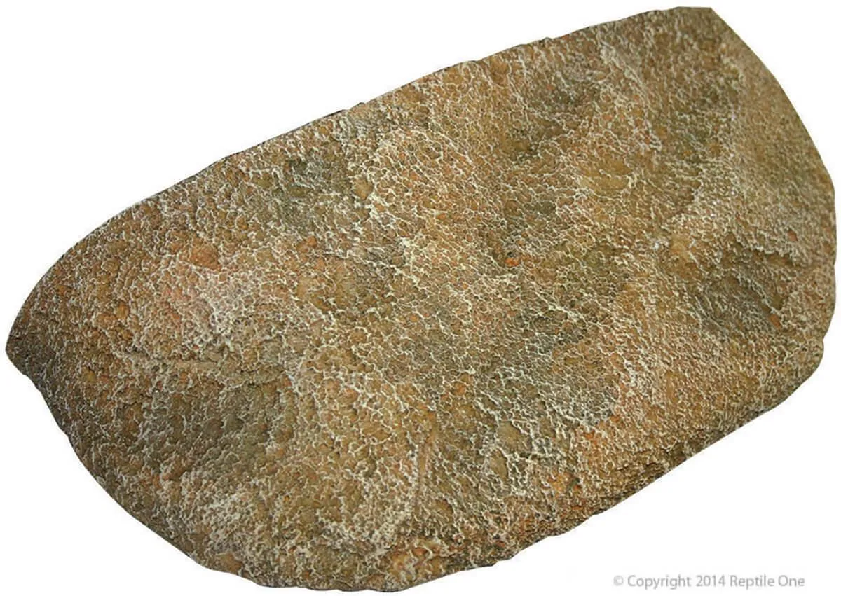 Reptile One Climbing Ledge Dyno Oneck Small
