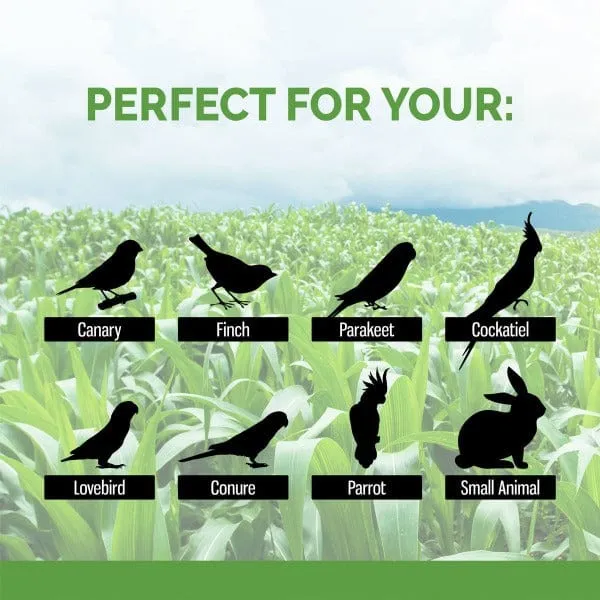Sunseed Natural Corn Cob Bedding