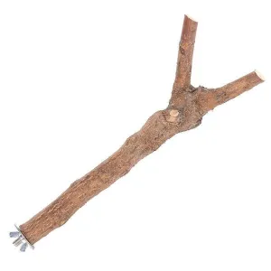 The Bird House Branch Perch - Large