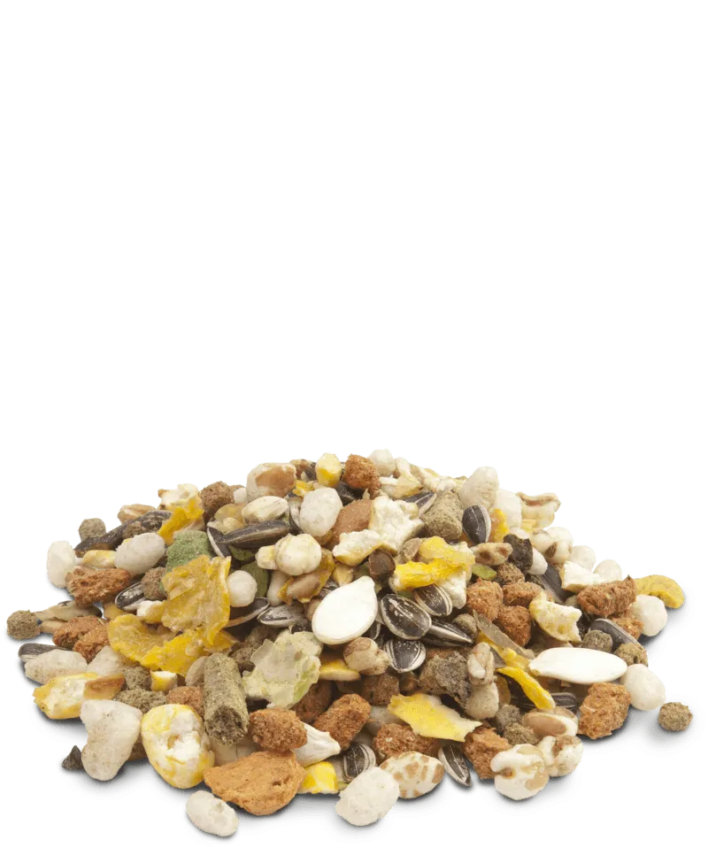 Versele-Laga Crispy Muesli - Hamsters & Co 1kg